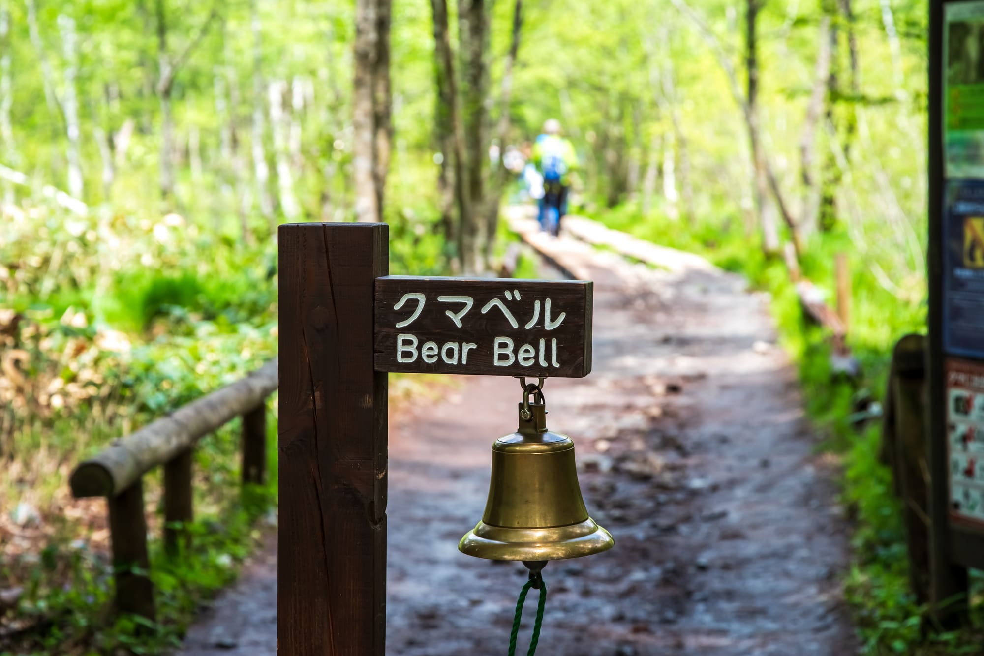 人を怖がらないクマ 異変はなぜ起きたのか…専門家に聞きました。